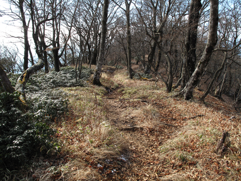 20171207hike (180)